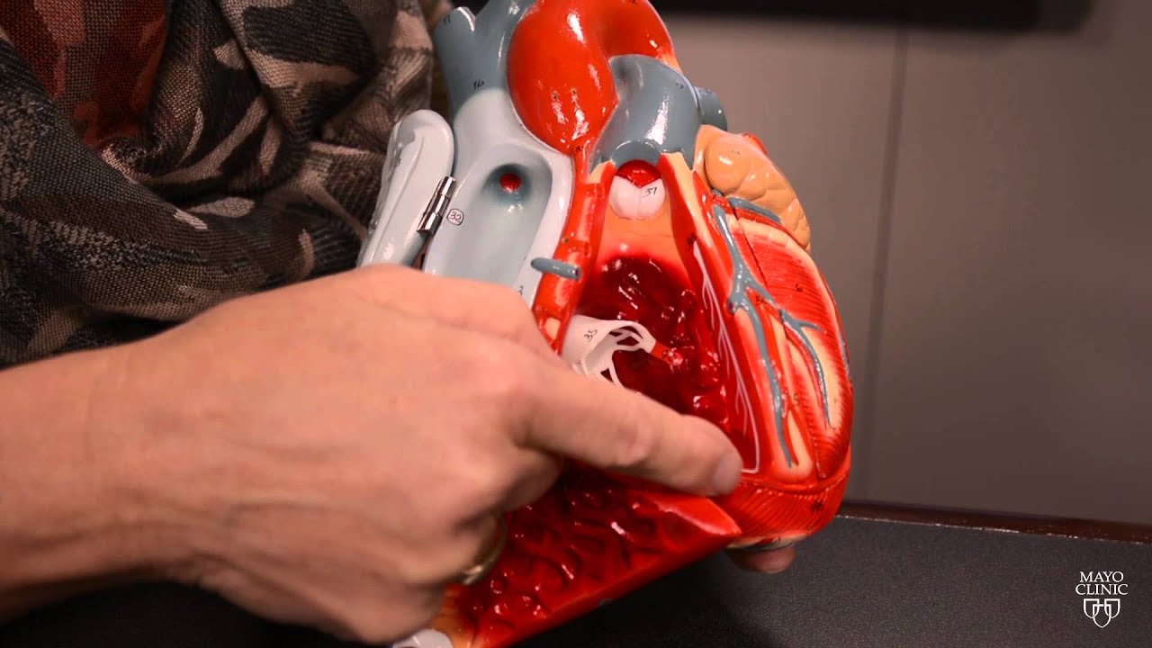 Mayo Clinic Minute: What Heart Sounds Tell Us