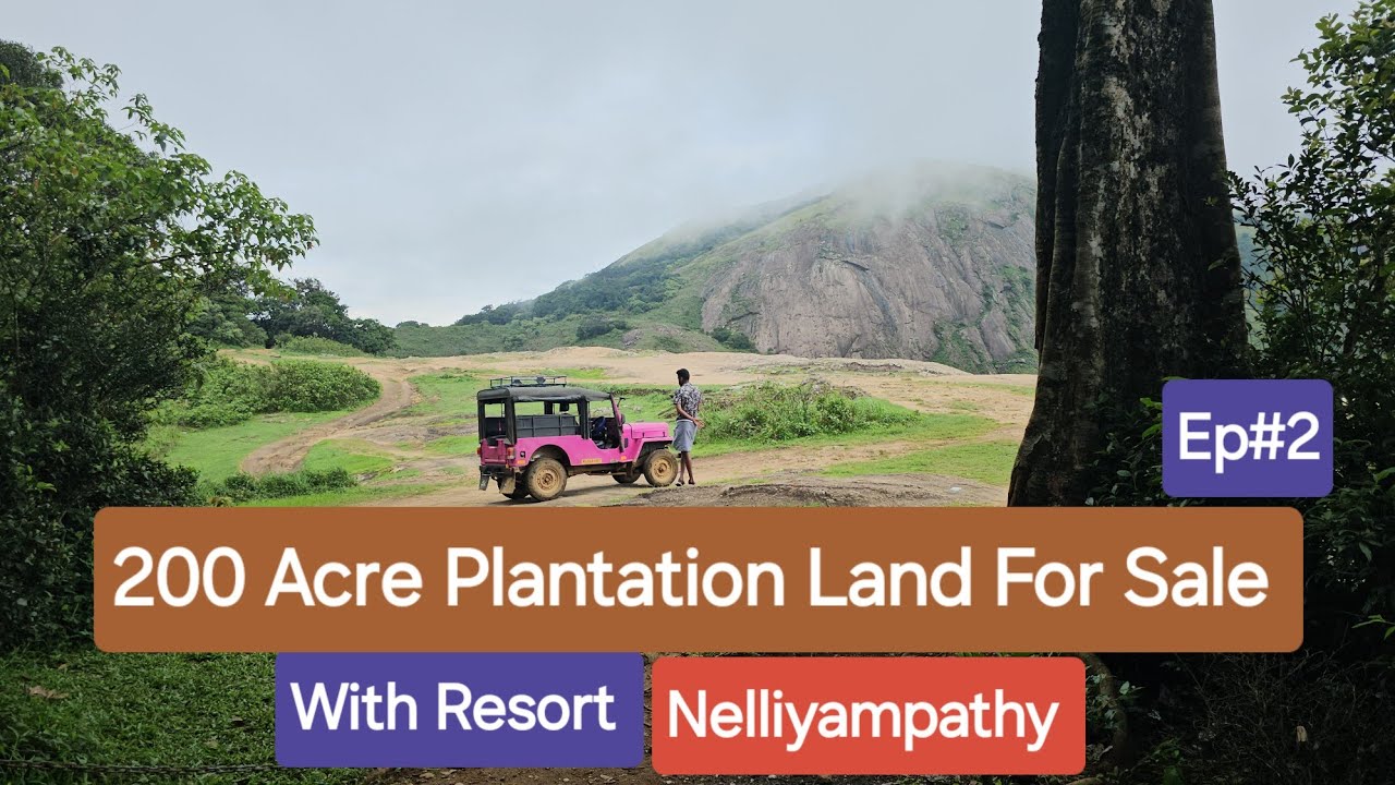 200 Acre Plantation Land For Sale Ep# 2, With Resort Nelliyampathy 9388890009