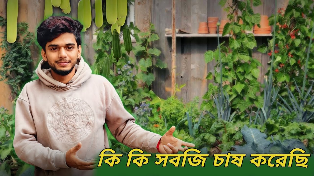 আমাদের বাগানে কি কি চাষ করছি 🌱 | Home Gardening & Village Life Vlog | Its Sudip Vlog