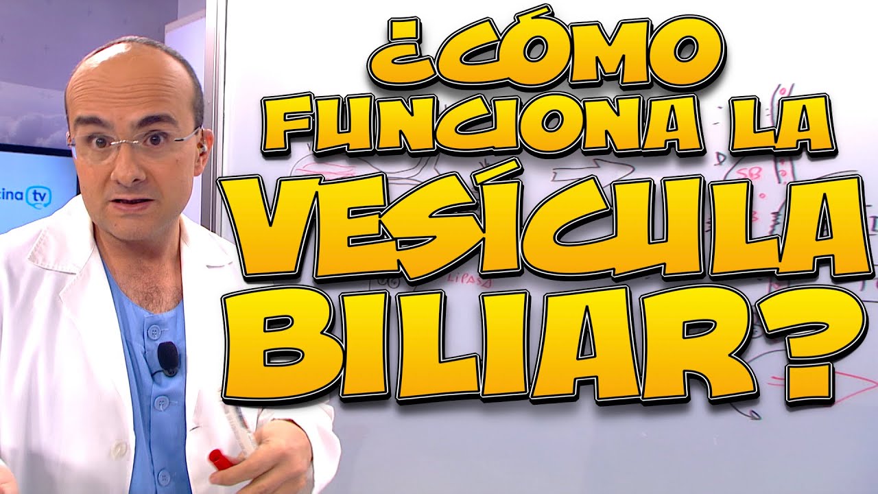VES&Iacute;CULA BILIAR, &iquest;c&oacute;mo funciona? - Cuerpo Humano #08