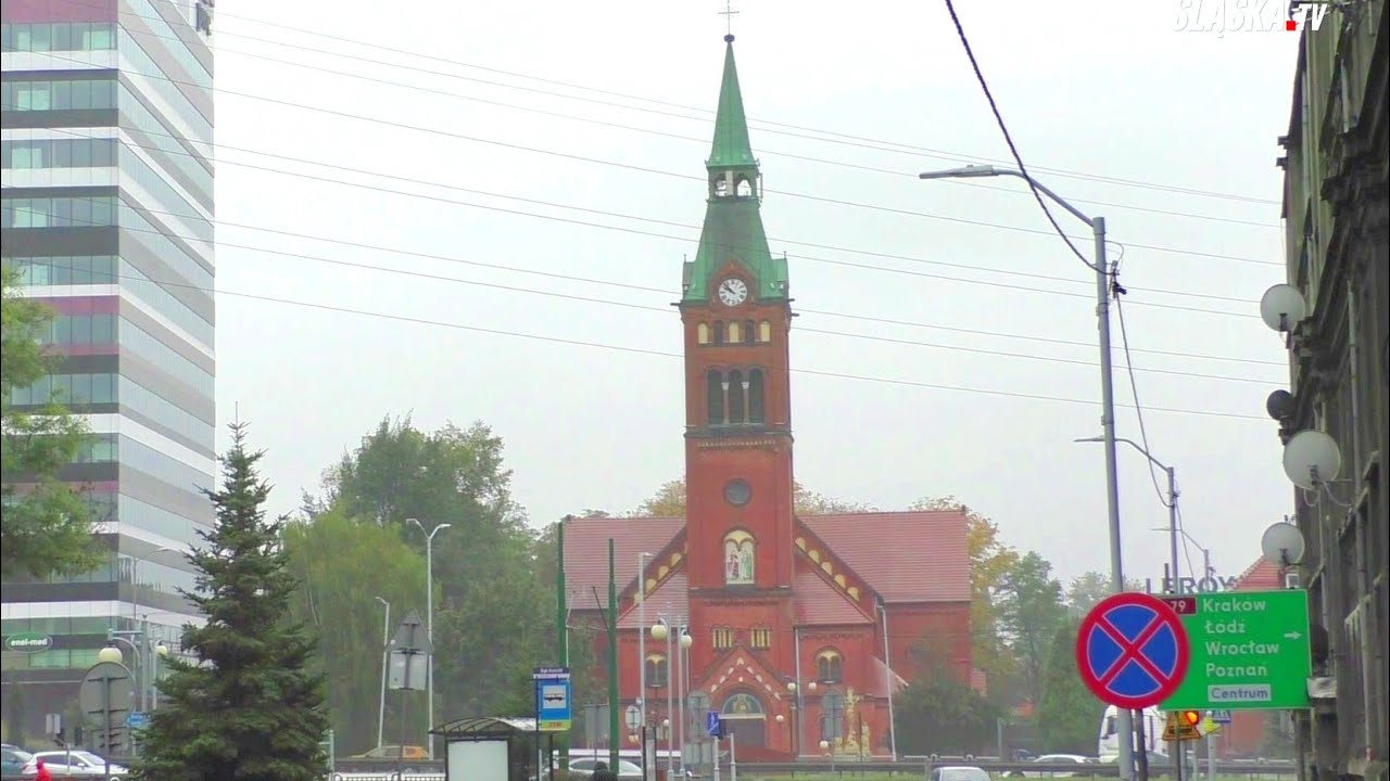 MOJE KATOWICE - DĄB