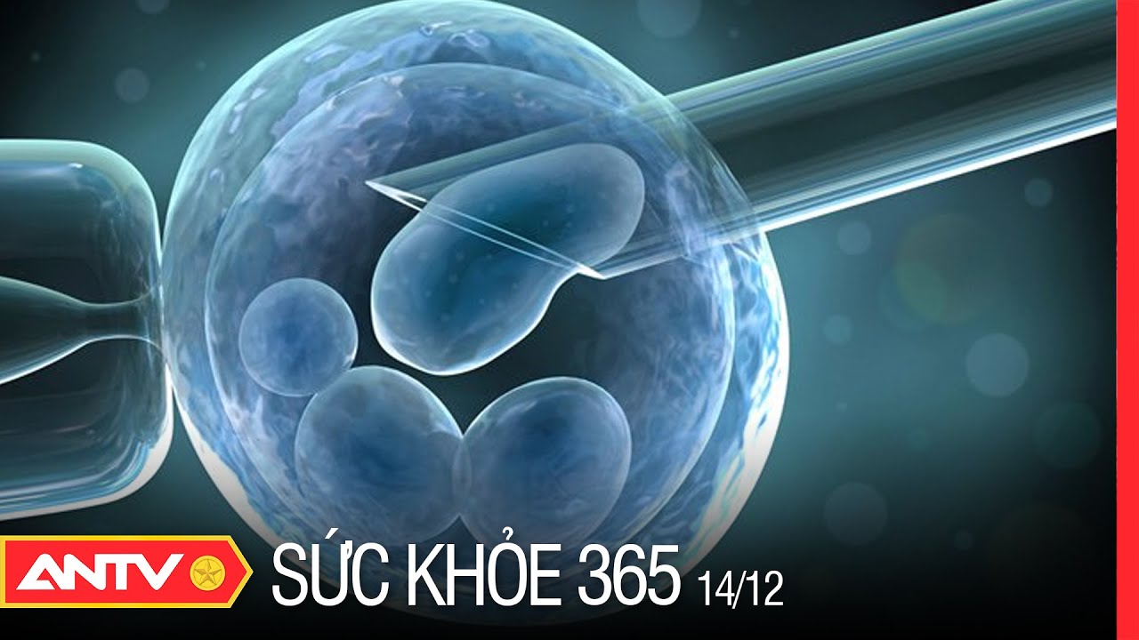 Lưu ý khi thực hiện xét nghiệm sàng lọc phôi tiền làm tổ | Sức khỏe 365 | ANTV