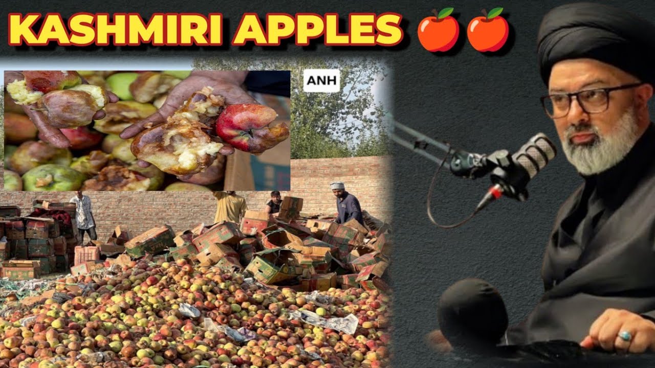 Kashmiri apples || Aga Syed Mohammad Hadi kashmiri || 