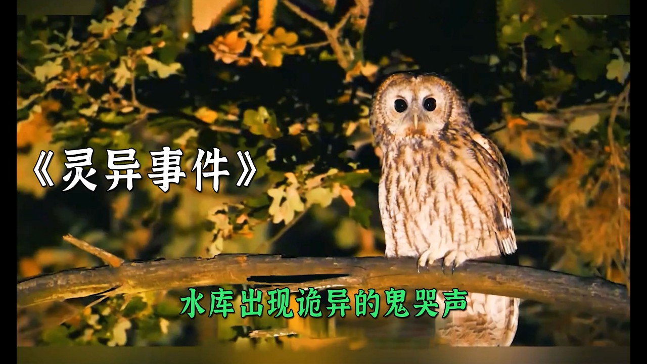 水庫出現詭異的鬼哭聲