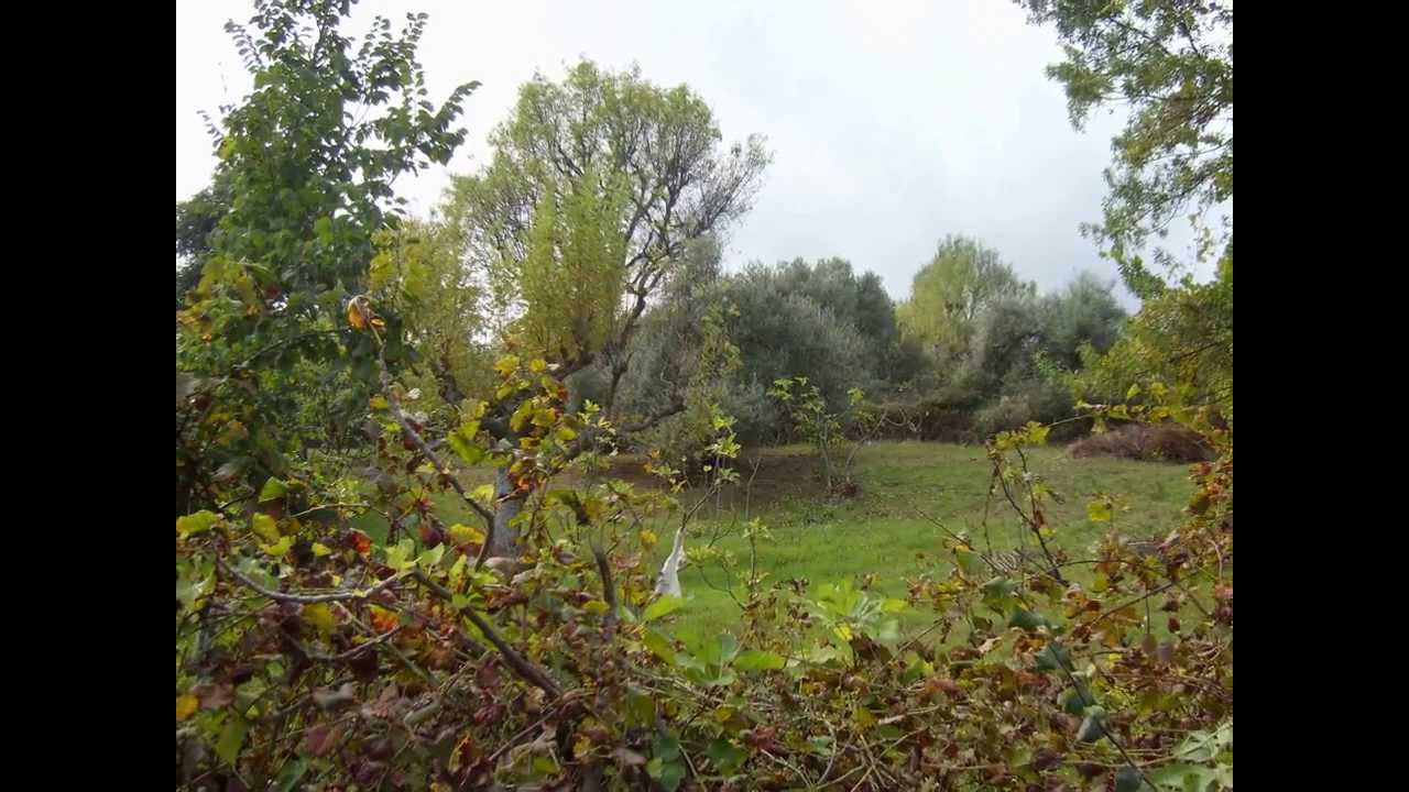 mon voyage  a halafa wilaya BEJAIA