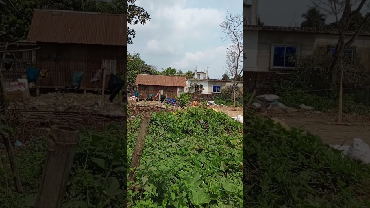 834#আড়াইওরা খাপাড়ায়#৩ শতক ৩২ সেন্টের মধ্যে-গ্যাসসহ-টিনশেড বাড়ি বিক্রি হইবে#প্যাকেজ মূল্য ৮৫ লক্ষ#