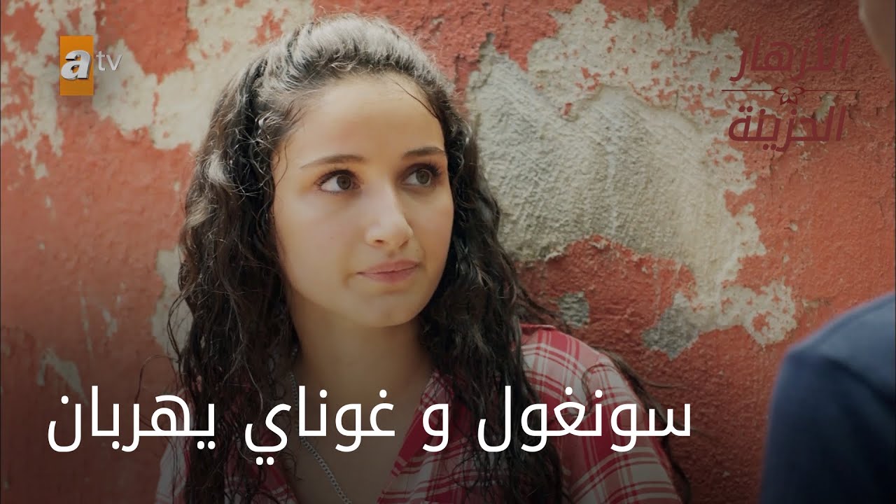 سونغول و غوناي يهربان - الحلقة 41 - الأزهار الحزينة