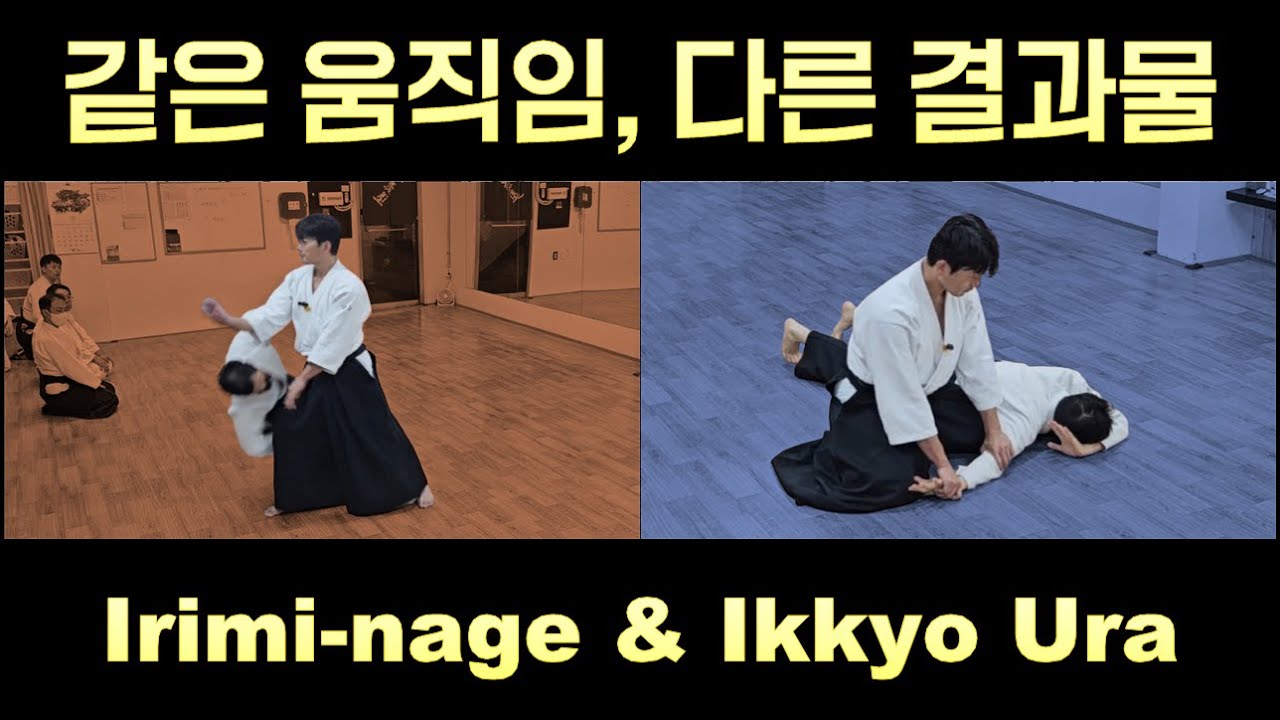 【아이키도】 같은 듯 다른, 다른 듯 같은 이리미나게와 잇쿄(입신던지기, 일교) #合気道 #aikido