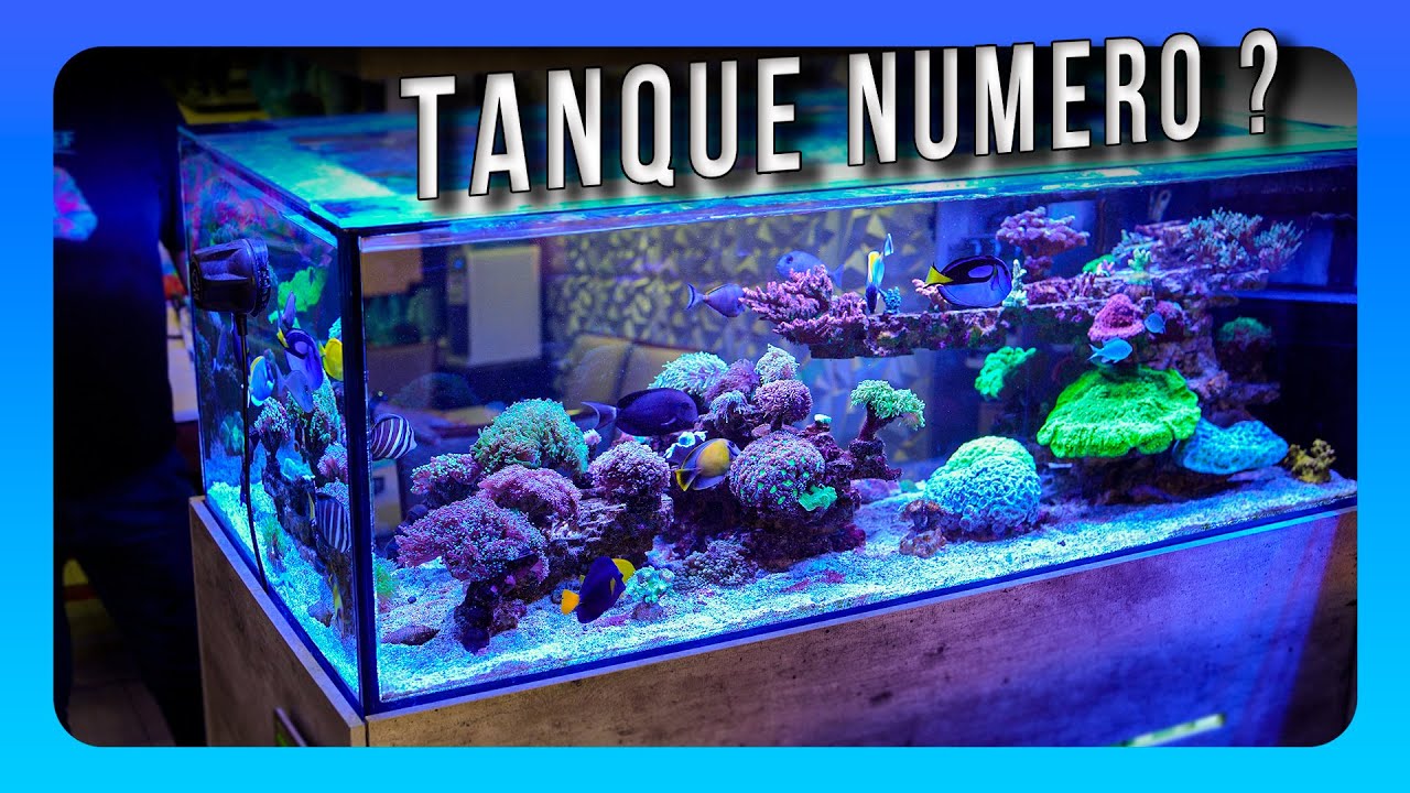 No es el mismo, mejoró aún más! - TANQUE TOUR EP. 17.3 / Leo Torres 2 años después | OSO REEF