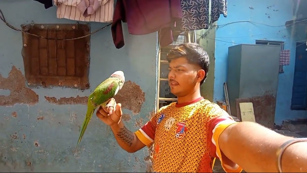Pahadi property bolane wala🦜🦜🦜🦜🦜🦜🦜#pahadi #property #bolane #wala #viral 