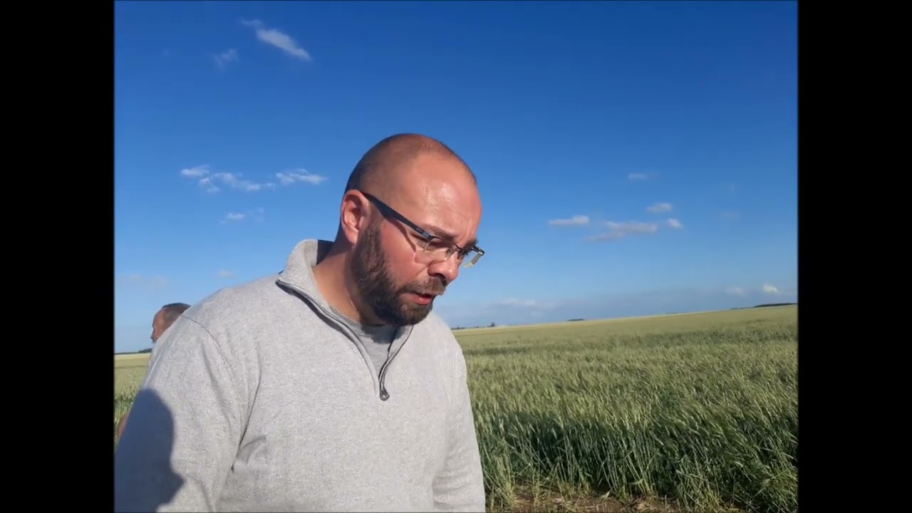 Yvelines, après la grêle, les agriculteurs témoignent