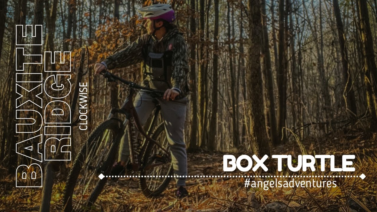 Bauxite Ridge Mountain Biking