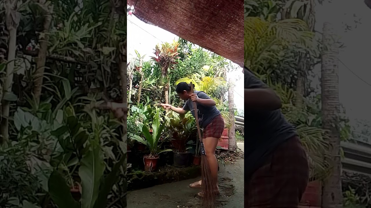 Cleaning the backyard 