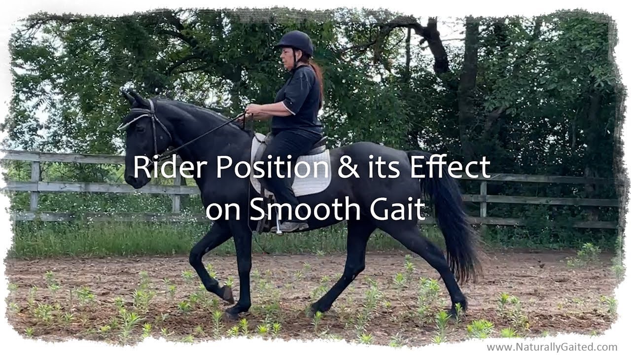 Rider Position and Effect on Smooth Gait #tennesseewalkinghorse