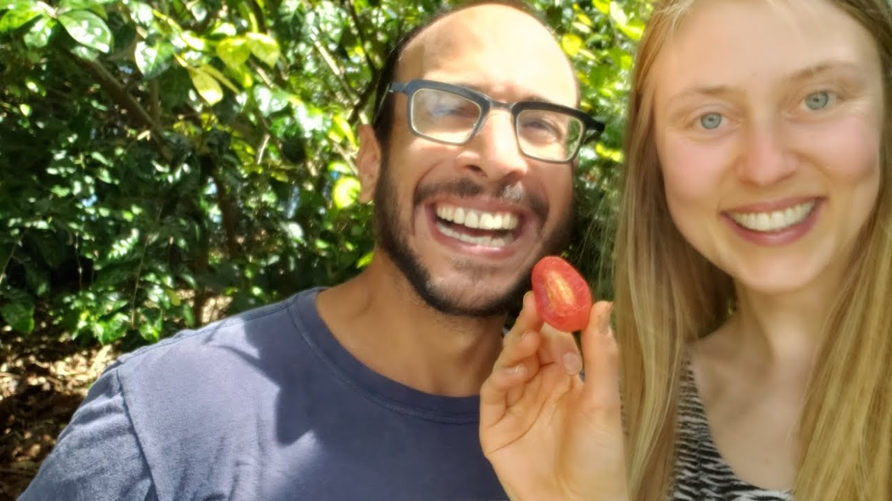A supercool berry- silverberry😯