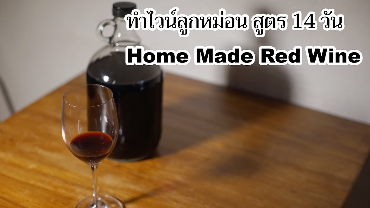 วิธีทำไวน์จากผลไม้แช่แข็ง ลูกหม่อน Home Made Red Wine ต้น-จน-จบ สูตรลับ 14 วัน