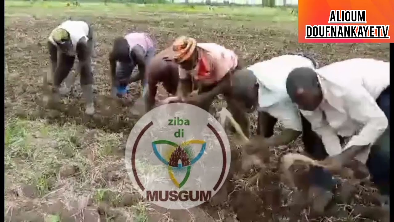 UNE DES CULTURES MUSGUM