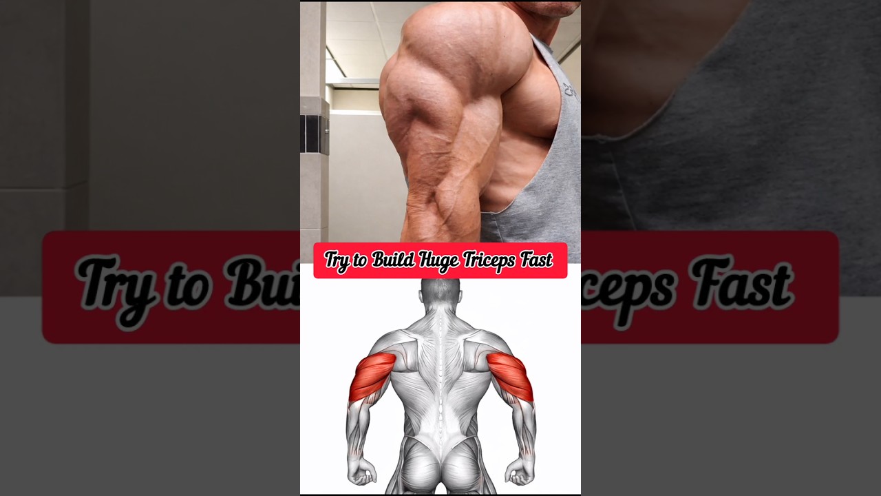 Ultimate Triceps Workout for Massive Arms 💪 #shorts #youtubeshorts #ytshorts #youtube #viral