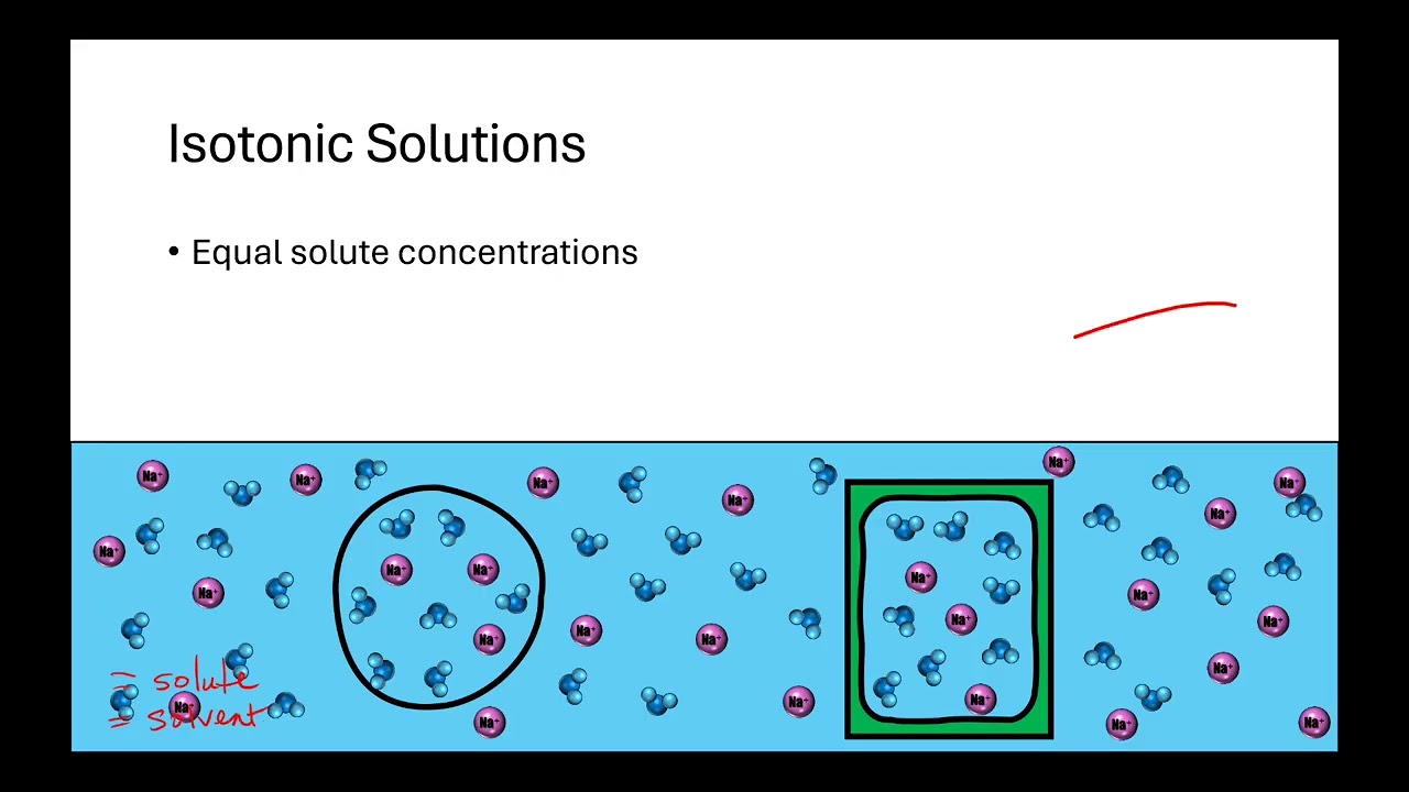 2.7 Tonicity and Osmoregulation