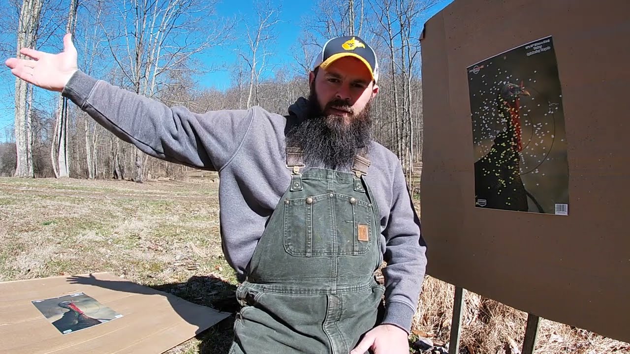 Stevens 301 410 Viper Ammo 9.5s Pattern