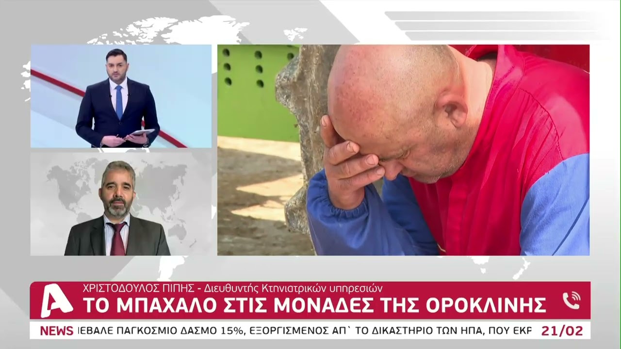 Αφθώδης πυρετός: Ήταν ή όχι άμεση η ανταπόκριση των Κτηνιατρικών Υπηρεσιών;