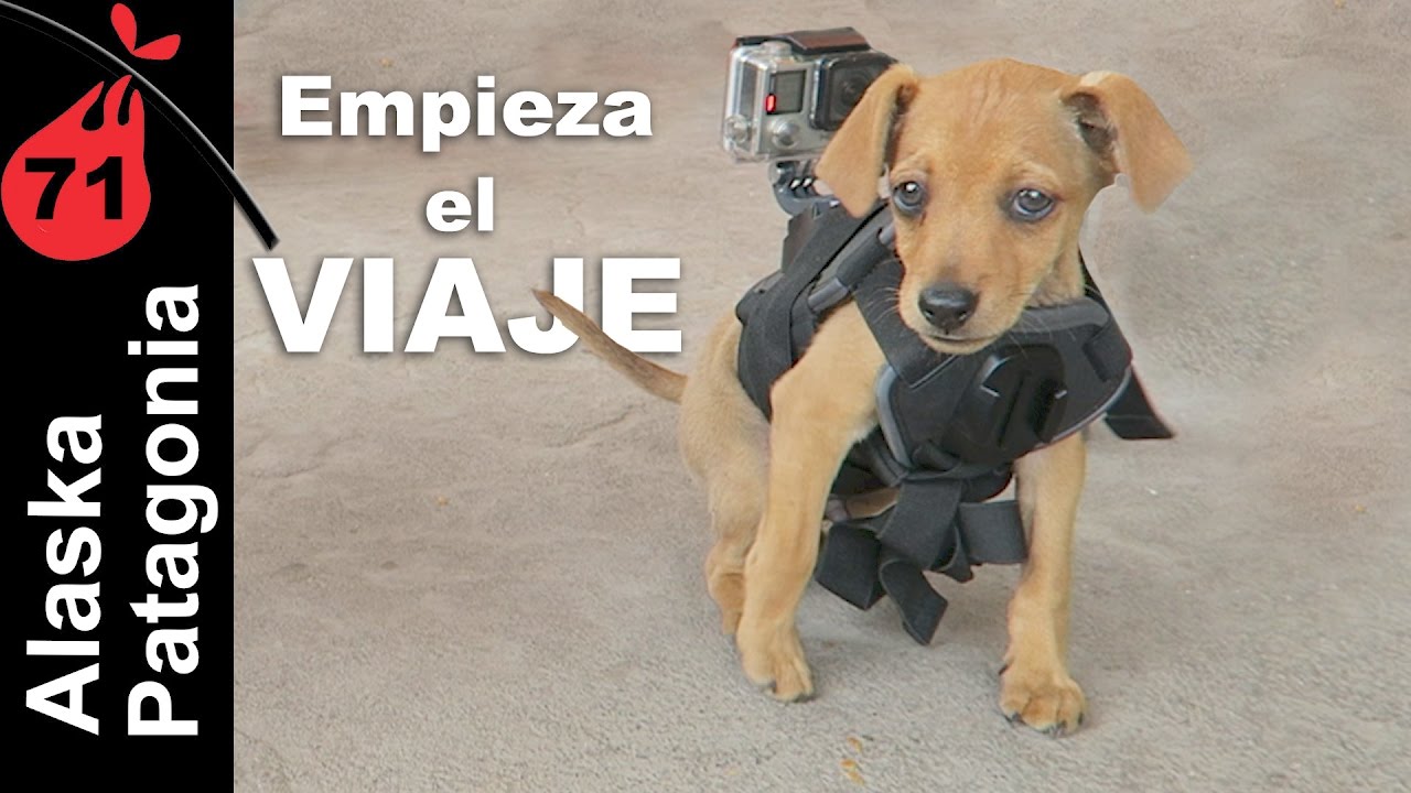 Primeros kilometros con BAMBINO