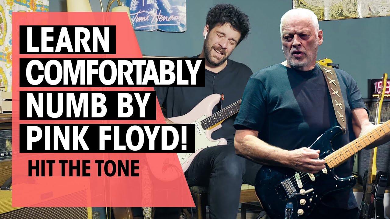 Hit the Tone  | Comfortably Numb by Pink Floyd (David Gilmour) | Ep. 60 | Thomann