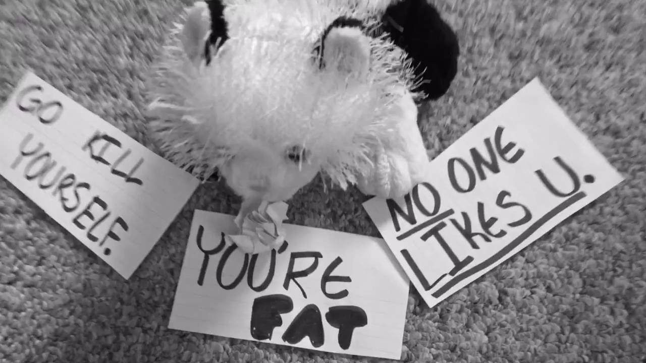 Titanium Webkinz Music Video