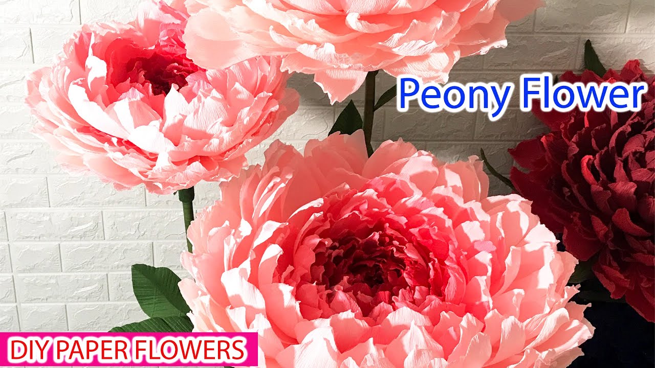 Làm Hoa Mẫu Đơn Giấy Nhún KHỔNG LỒ. Mẫu Đơn Ốp Tường | DIY Handmade | Mộc Miên