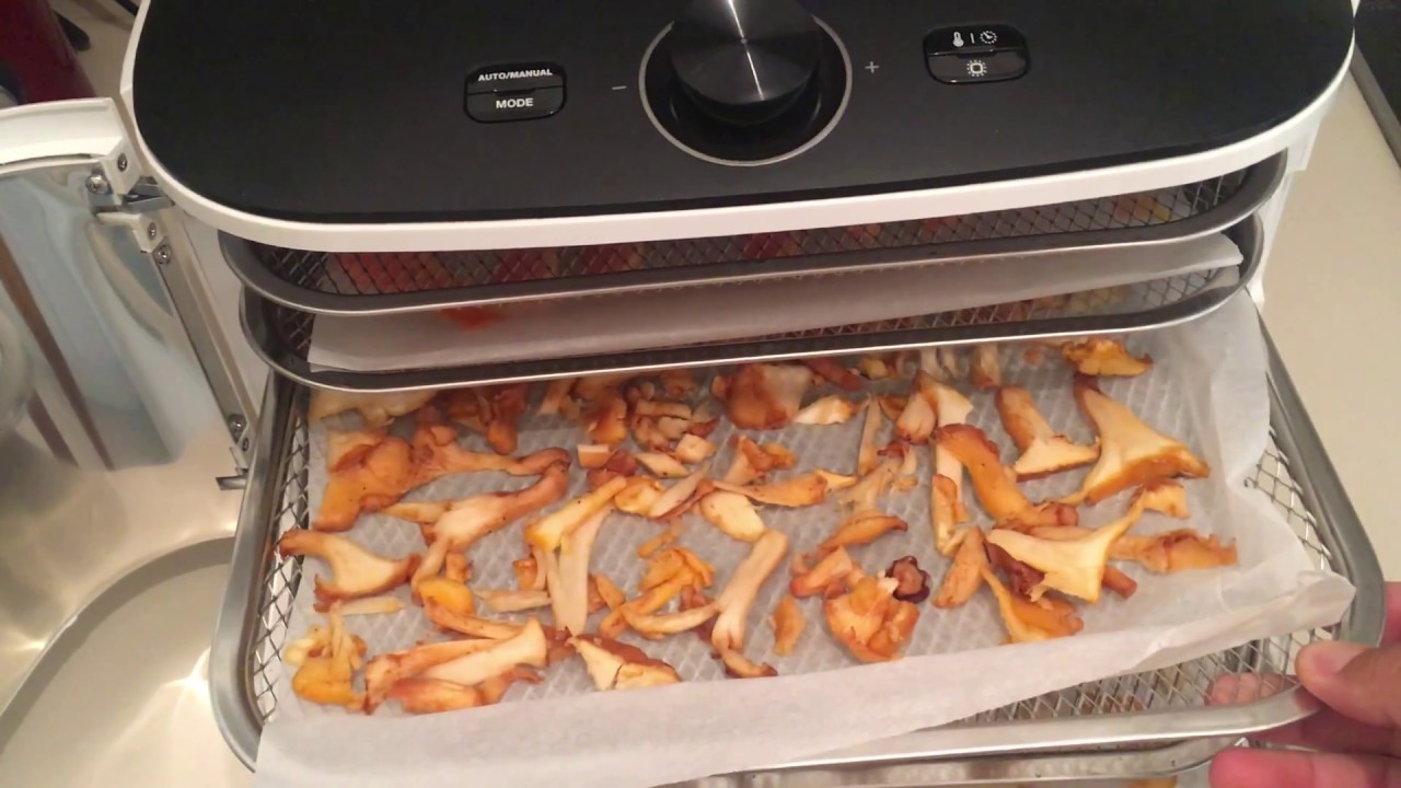 Essiccatore Soul: ricetta per essiccare funghi, peperoncini, papaya e menta
