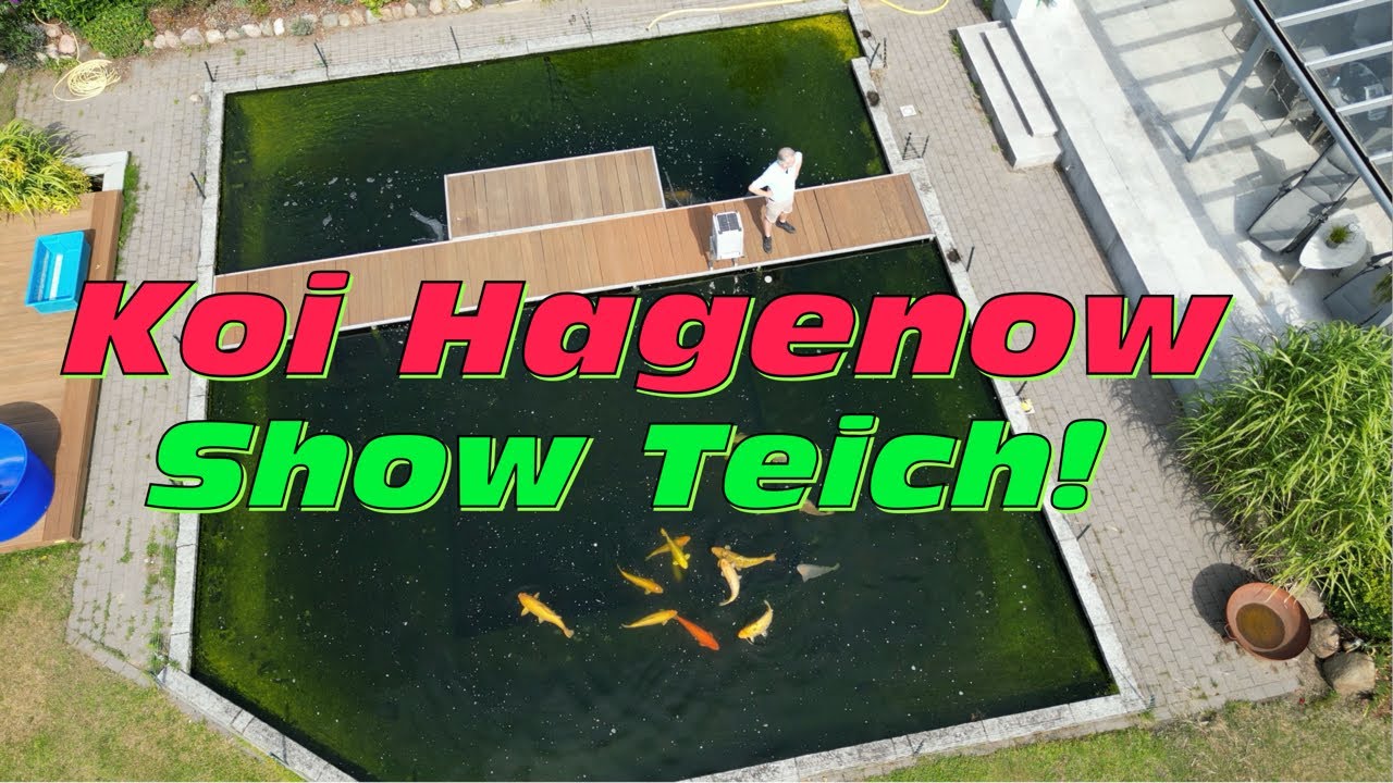 Der 120000 Liter Aufzucht Teich von Koi & Co Hagenow!