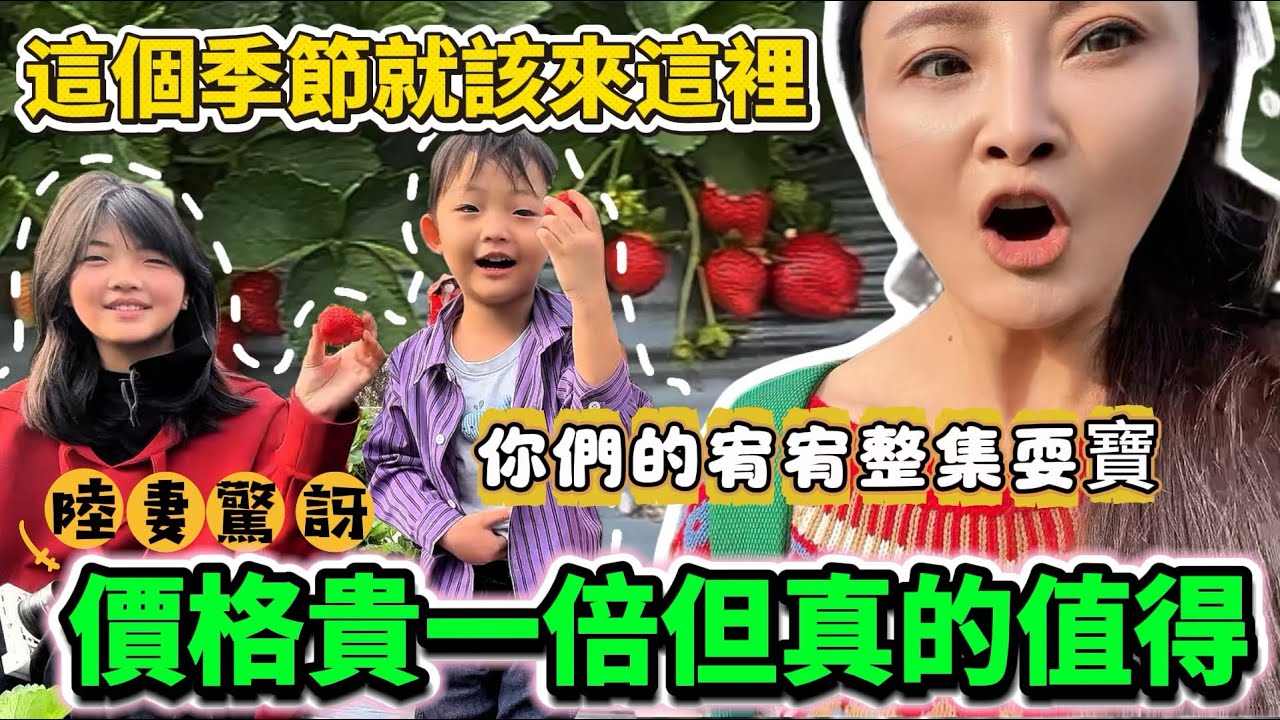 這個季節一定要來這裡！陸妻感嘆：價格貴一倍但真的值得！3歲弟弟整集耍寶｜蕭蕭在台灣｜