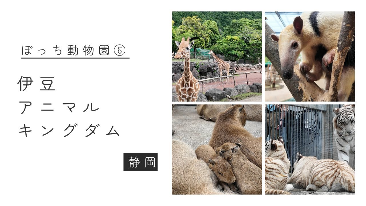 ぼっち動物園⑥伊豆アニマルキングダム