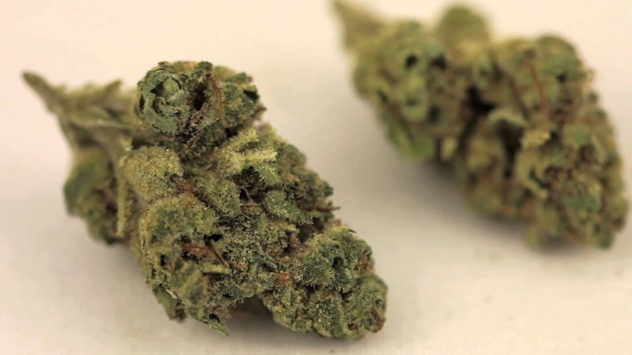 Pre '98 Bubba Kush