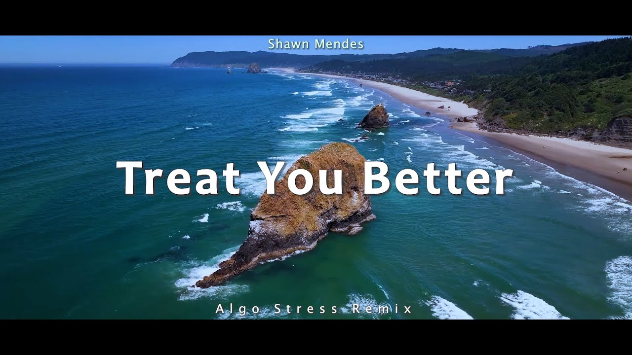DJ SLOW !!! Treat You Better - Shawn Mendes ( Algo Stress ) Slow Remix