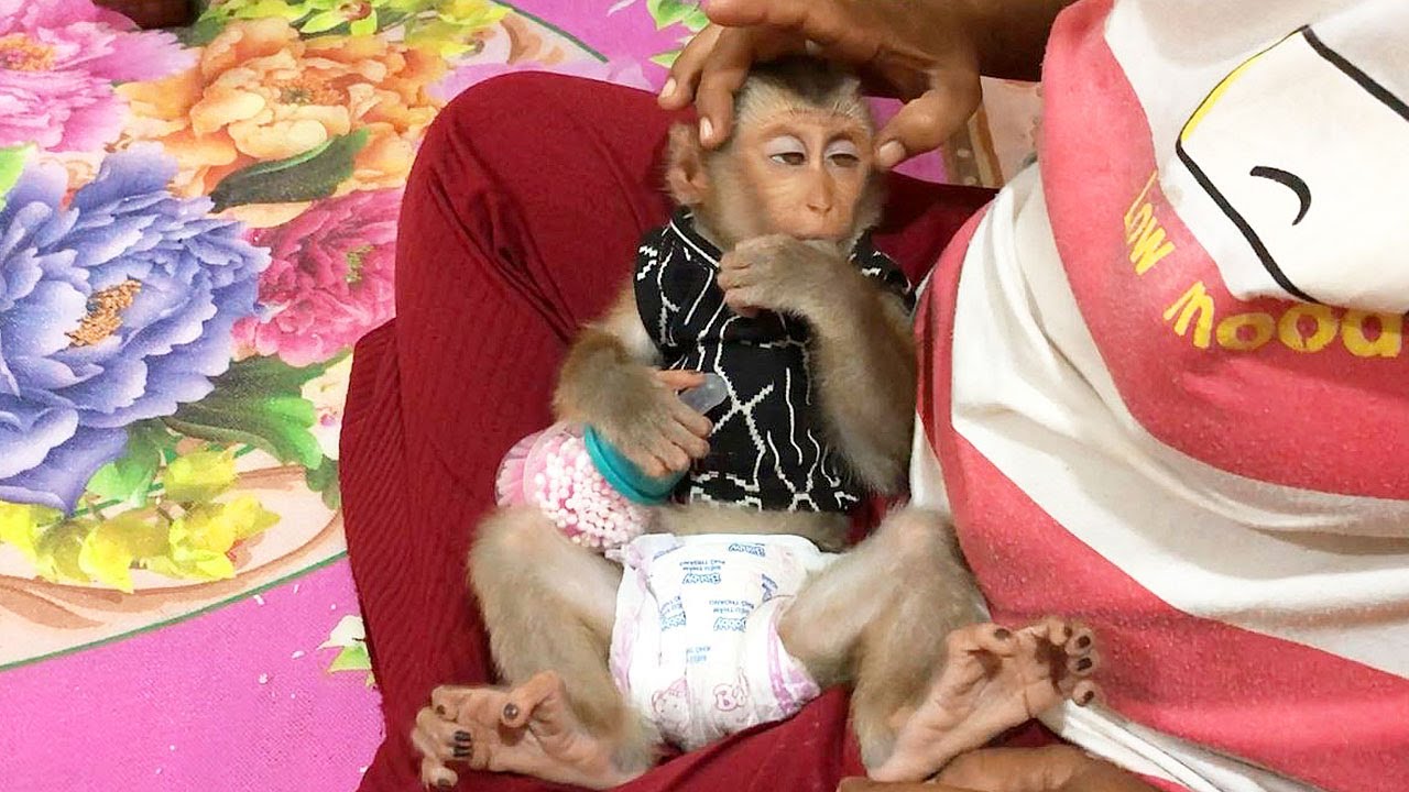 Cutie Jason Lovely Attitude Relaxing When Wait Mom Gentle Massage