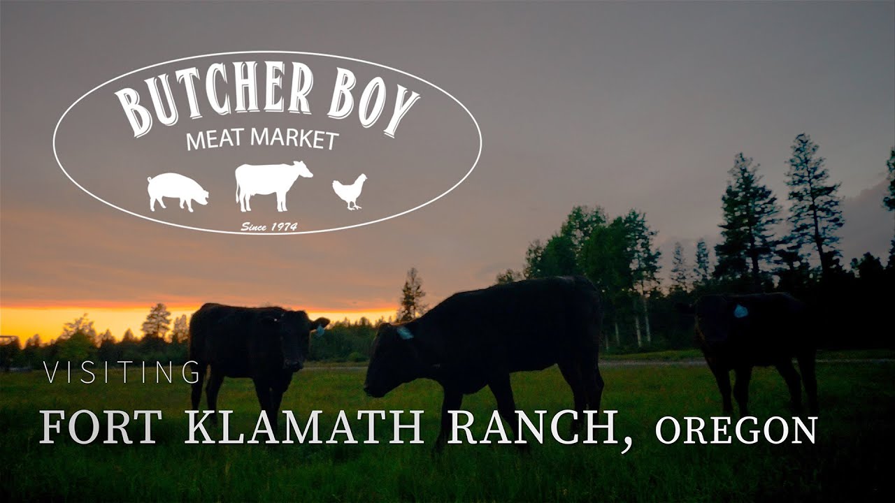 Butcher Boy American Wagyu - Visiting Fort Klamath Ranch