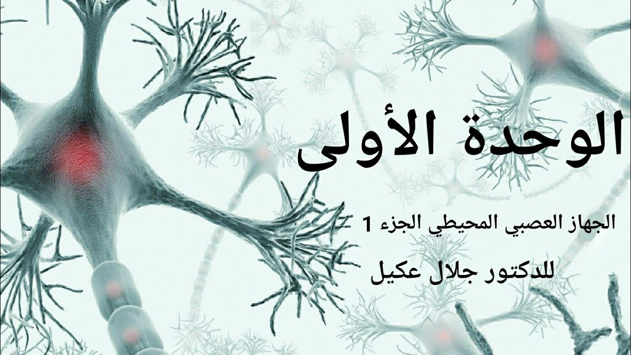 الجهاز العصبي المحيطي - الدرس الثالث الجزء 1 - الوحدة الأولى مع الدكتور جلال عكيل