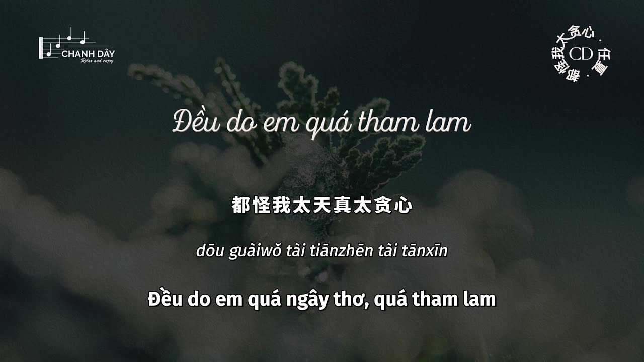 [Vietsub] Đều do em quá tham lam (都怪我太贪心) - Nhậm Hạ (任夏) (伤感女版)
