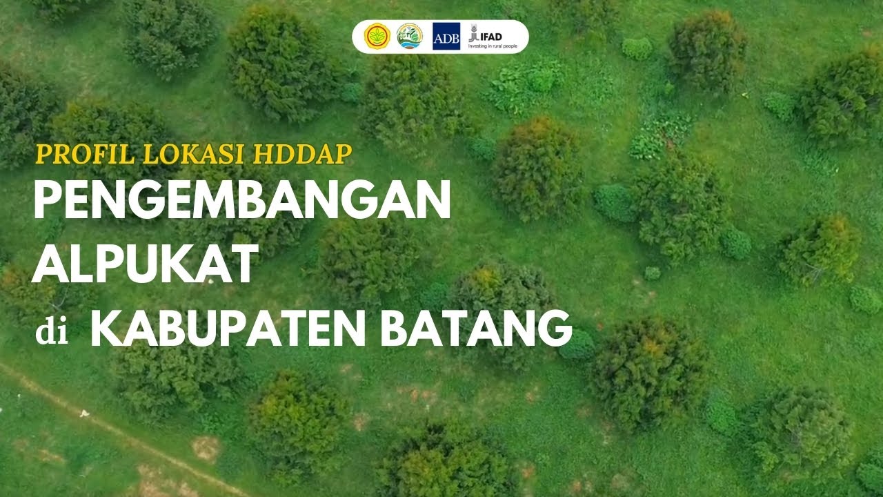 Transformasi Lahan Kering Kabupaten Batang Menjadi Surga Alpukat