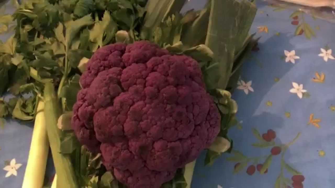 Chou fleur violet