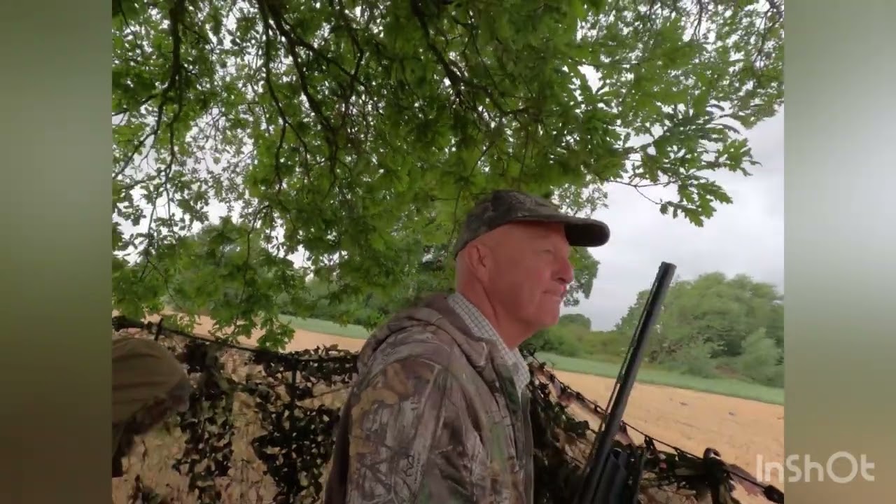 Pigeon shooting, first day on the stubble with gogetum Gary, Rain stopped play