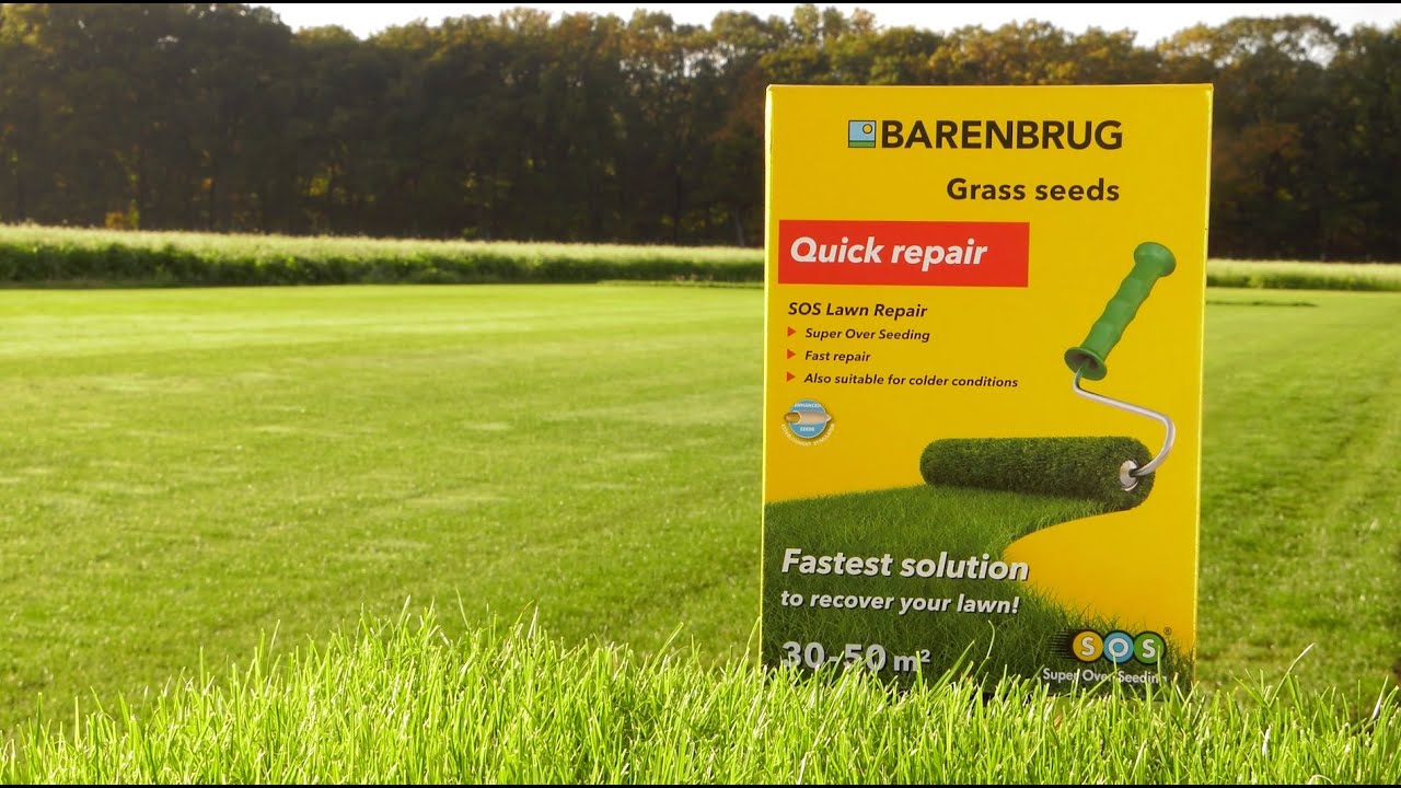 SOS Lawn Repair — самое быстрое решение для восстановления вашего газона!