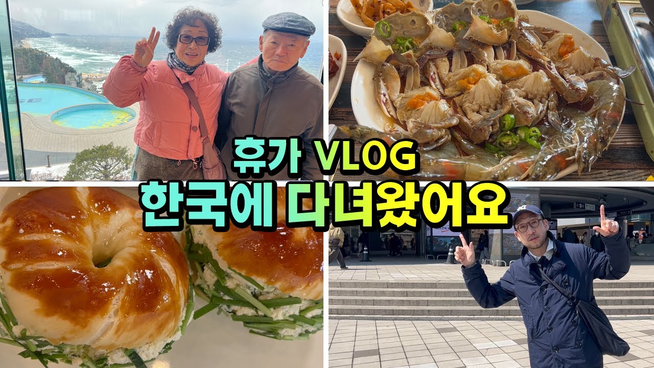 【Vlog】일본 외노자 한국 휴가 다녀왔어요 | 7개월만의 한국 | 한국만 다녀오면 살이 쪄 오네요 