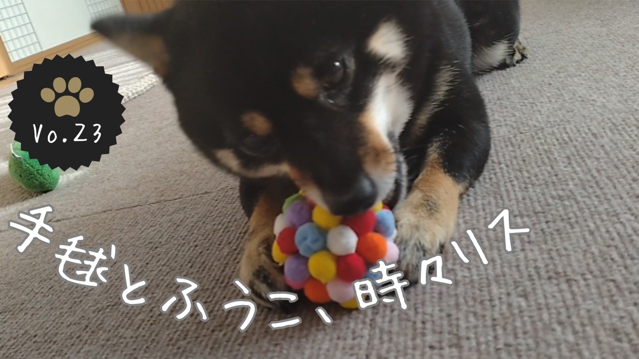 手毬とふうこ、時々リッス出没