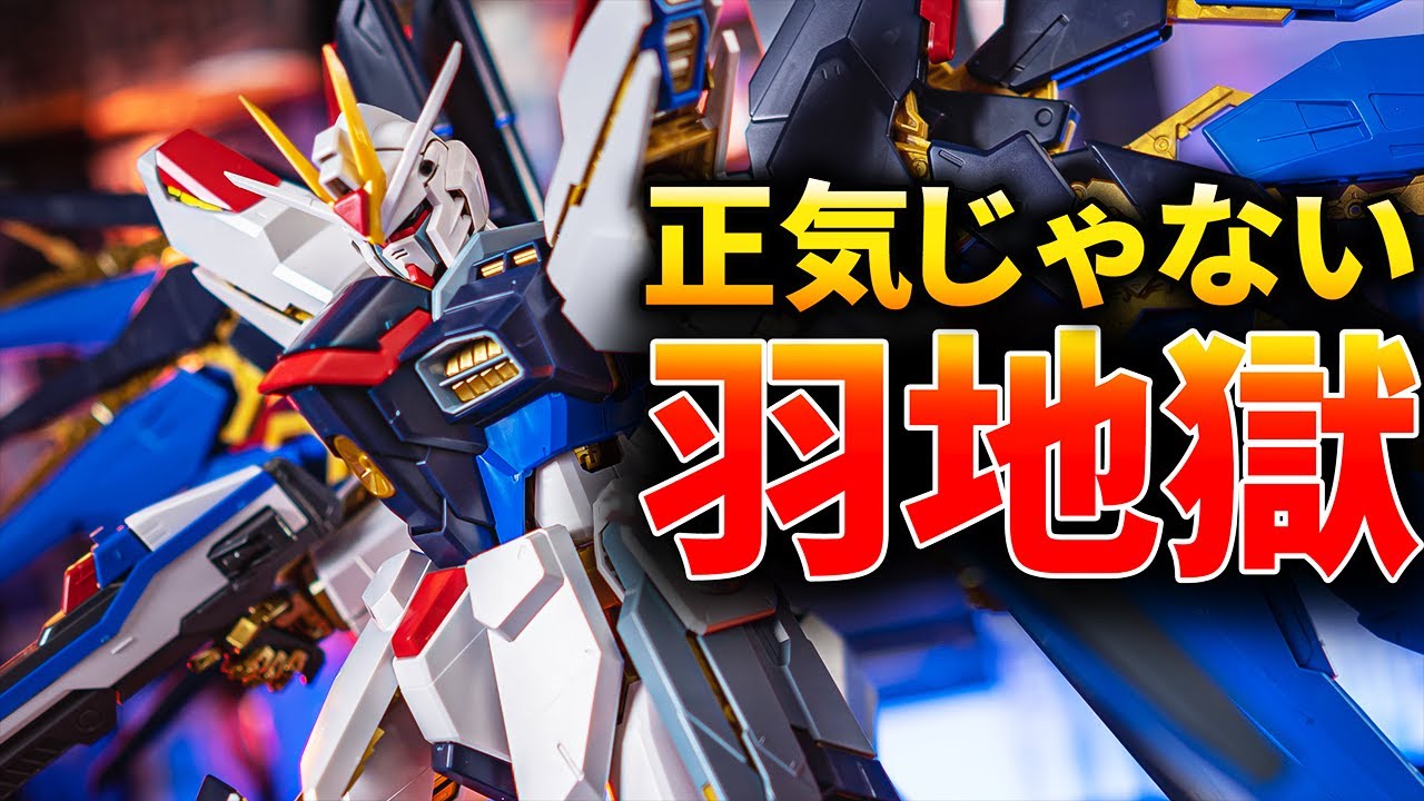 夏休みの課題にピッタリなドM専用機！PGストライクフリーダムガンダムをレビュー！PG STRIKE FREEDOM GUNDAM Gunpla【機動戦士ガンダムSEED:Destiny】