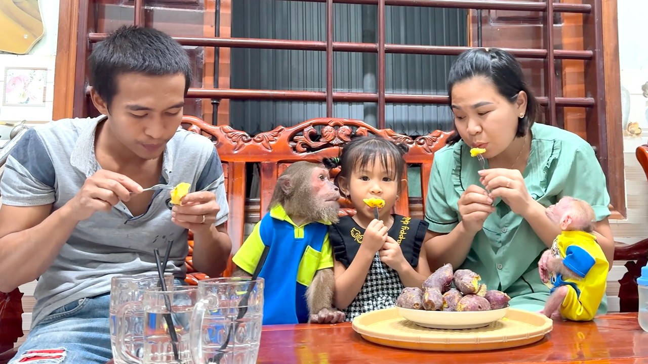 CUTIS’ Family Shares a Warm and Joyful Evening Together