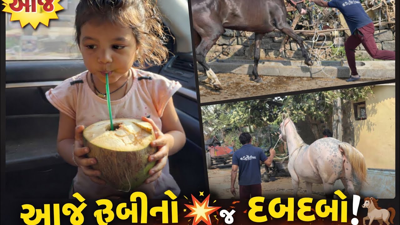 Aaje badhi ghodi ne navdavi 