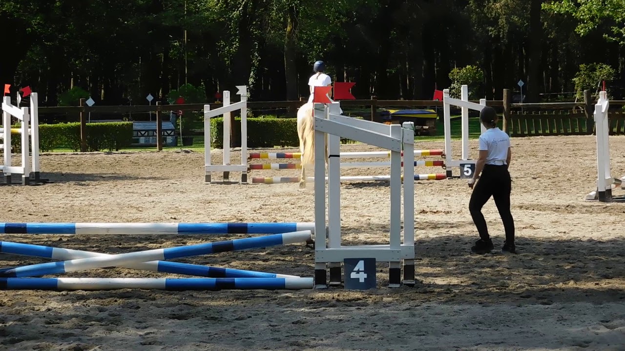 02/06/2019 salto ostacoli 60 cm a Casorate Sempione
