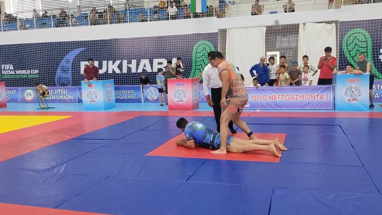 Ana boʻlmasa Polvonlarni qarang ?#jiujitsu #bjj #shorts #sports #shortsfeed #sport #shortsvideo
